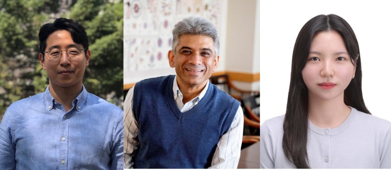 고려대학교 김진호 보건정책관리학부 교수 연구팀과 하버드대학 연구팀.(고려대 제공)