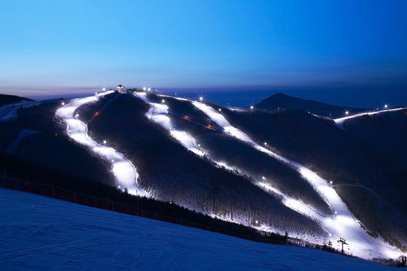 하이원 스키장 야경