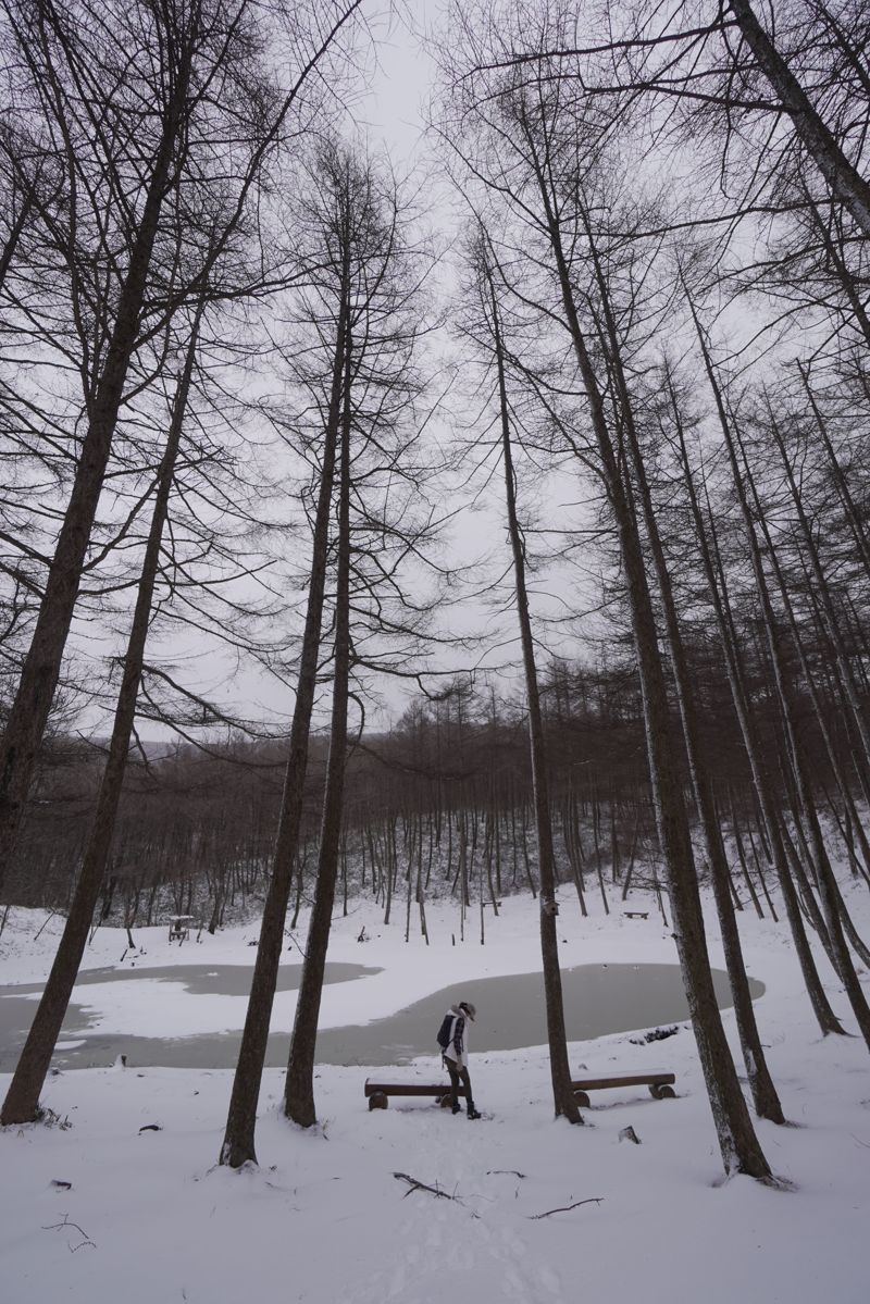 하늘길을 걷다보면 만나게 되는 도롱이연못