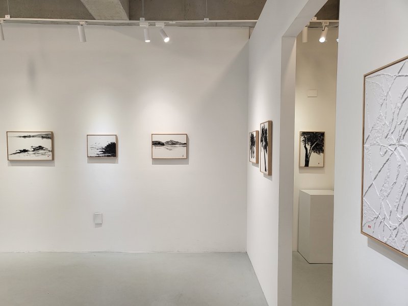 윤문영 '생명력의 영속성'전 전시 전경 (하랑갤러리 제공)