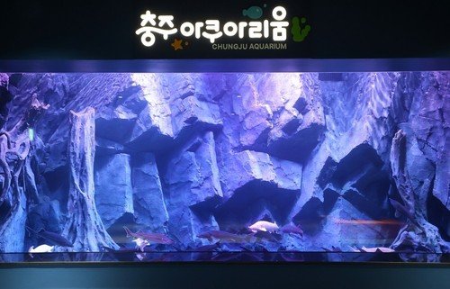 10월 문을 연 충주아쿠아리움 (출처=연합뉴스)