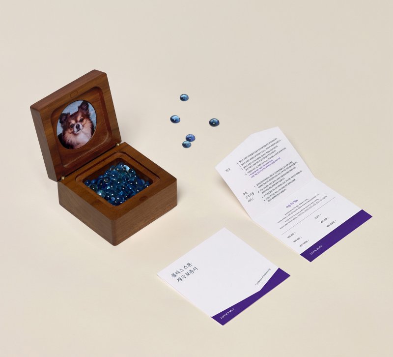 포포즈의 블리스스톤 루미 펫닥 제공