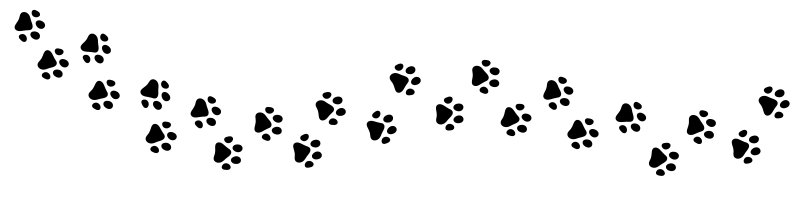 무지개 다리 건넌 댕댕이... 웃으며 인사하고 추억하는 방법 [Weekend 반려... - 뉴스 썸네일 이미지