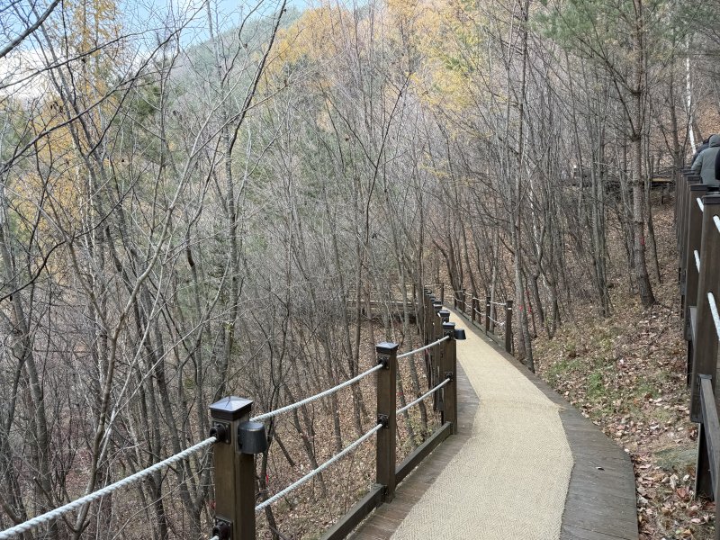 달팽이 숲길 초입ⓒ News1 윤슬빈 관광전문기자