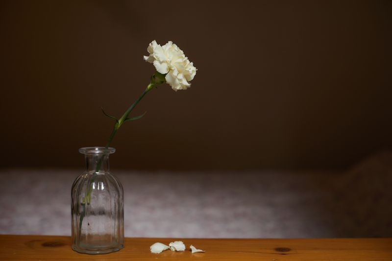 고독사 절반이 '5060 남성'...집주인·경비원에게 발견된다