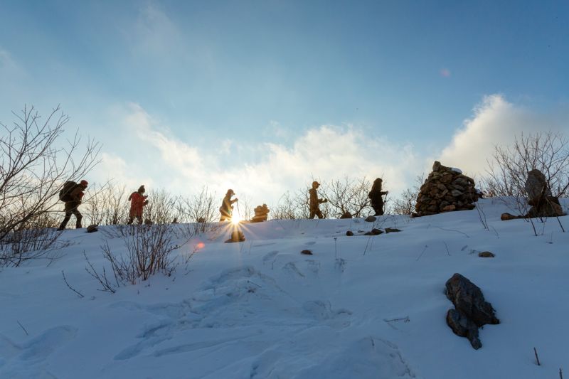 하이원 하늘길 눈꽃 트레킹
