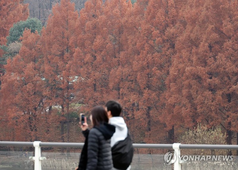 가을속으로 (출처=연합뉴스)