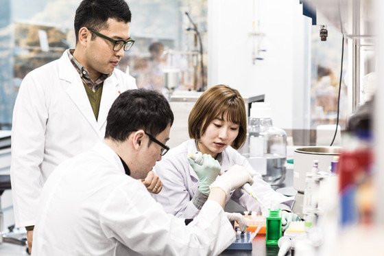 한 제약바이오 기업의 연구진이 신약 후보물질 분석을 위한 작업을 진행하고 있다./뉴스1