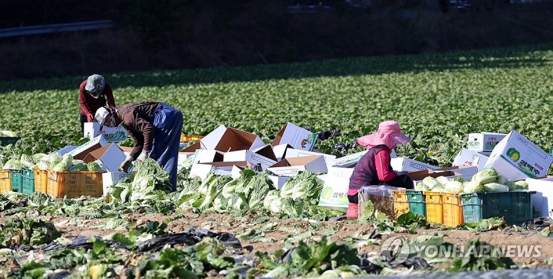관광 활성화&middot;이주노동자 유입에…국내체류 외국인 280만 넘어서