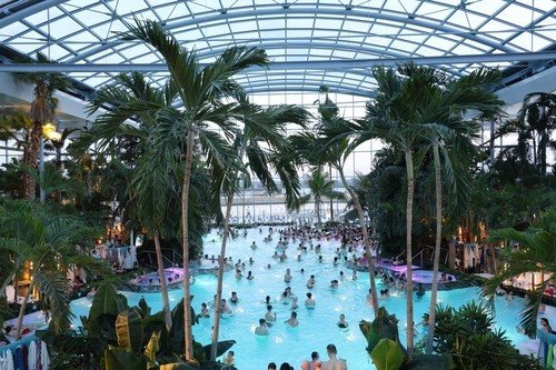 유리 돔과 야자수에 둘러싸인 루마니아 '테르메' (출처=연합뉴스)