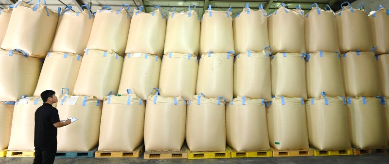 [용인=뉴시스] 김종택 기자 = 경기 용인시 한 미곡종합처리장(RPC)저온창고에서 관계자가 올해 수매한 벼를 살펴보고 있다. 2025.10.14. jtk@newsis.com