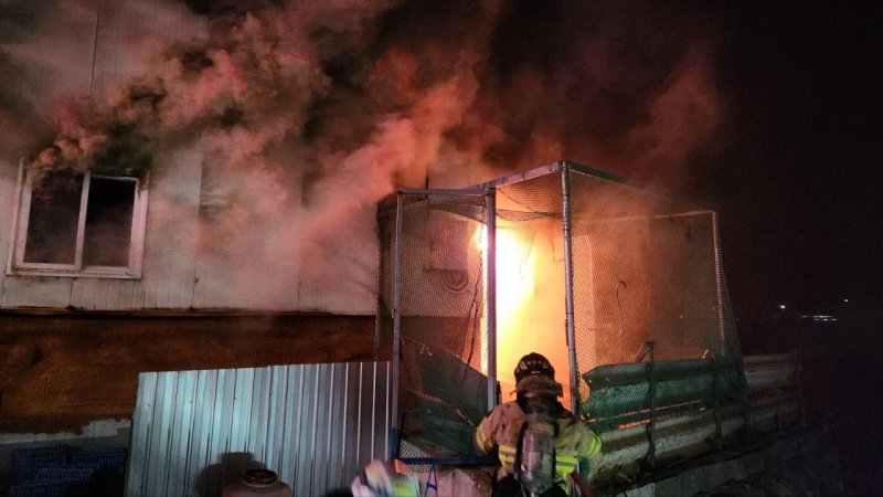 성주 돈사 불 1시30분만에 꺼졌지만…새끼돼지 300마리 폐사