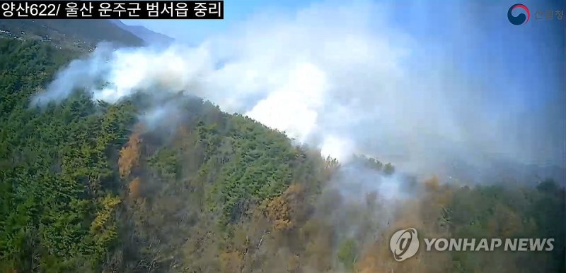 울산 울주군 산불 진화 중 (출처=연합뉴스)