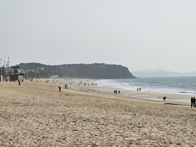 보령대천해수욕장에서 시민들이 해변을 거닐고 있다. ⓒ 뉴스1 최형욱 기자
