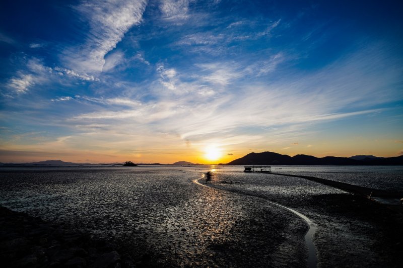 '세계해외 바카라 사이트축전'이 열린 순천만 습지. 사진=뉴시스