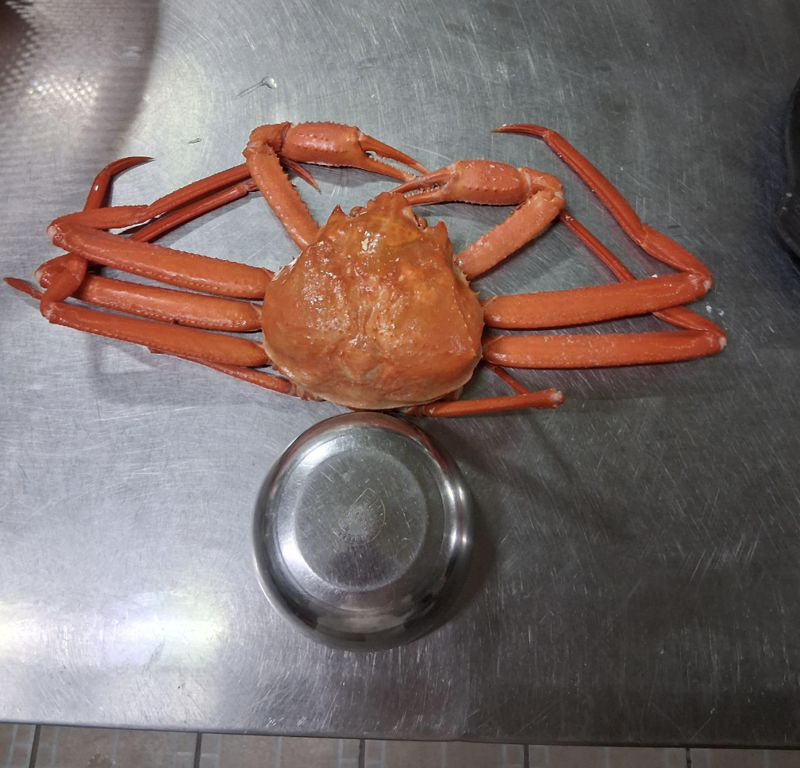 10만원 줬는데 홍게 4마리… 바가지 논란 나온 도시는?