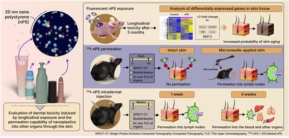 “플라스틱이 피부 뚫고 온몸으로 퍼진다” 공포 확산