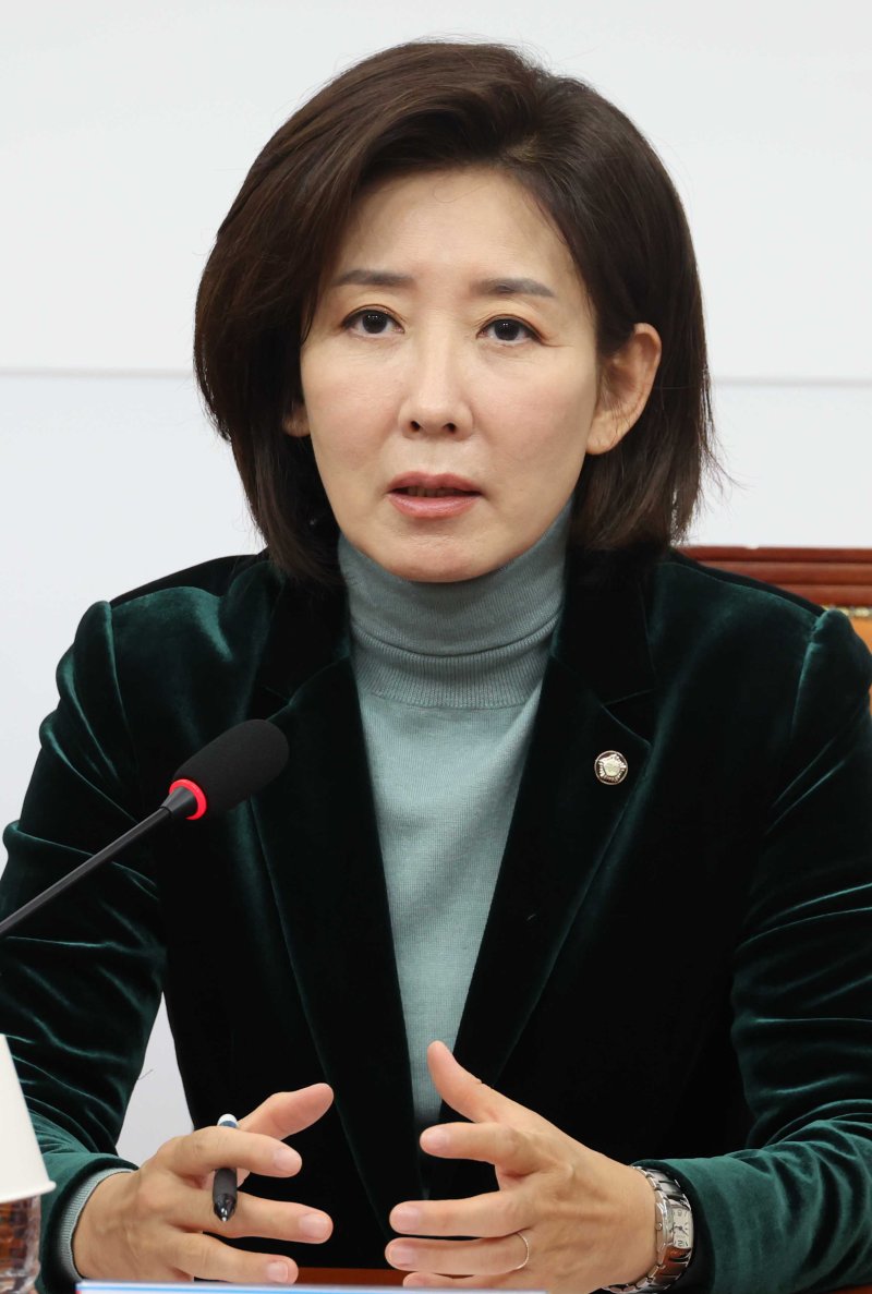국민의힘 나경원 의원. 뉴시스