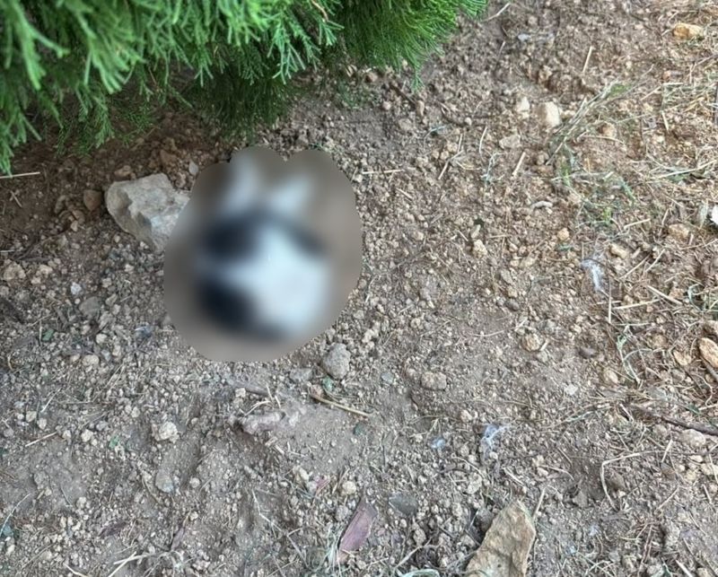 "머리부터 몸통 반이 땅에..." 부산 모 대학교에서 무슨 일