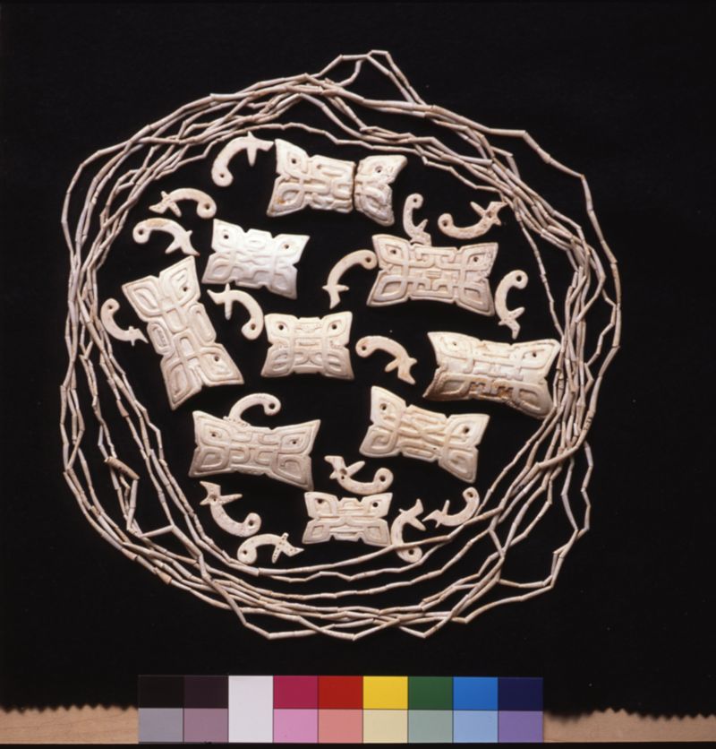 국립해양박물관 '패각에 담긴 한국과 일본의 흔적' 기획전시