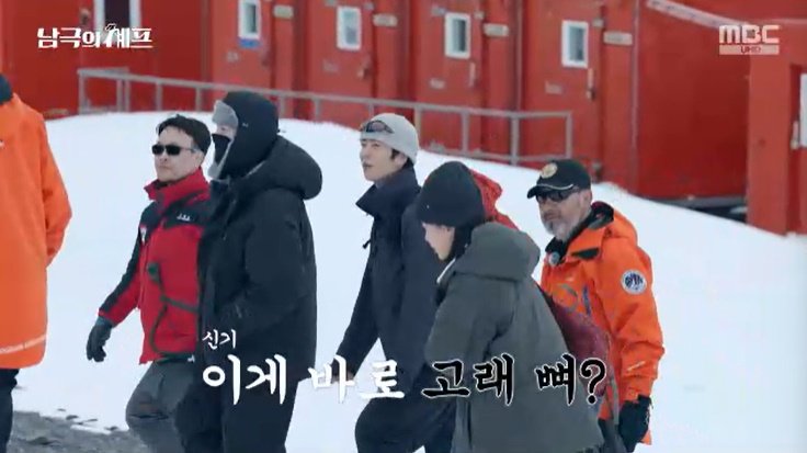 백종원, 아르헨티나 기지서 '고래 뼈' 발견했다…감탄