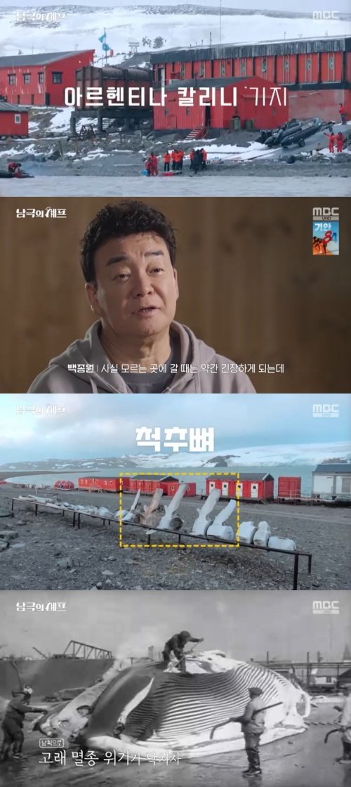 백종원, 아르헨티나 기지서 '고래 뼈' 발견했다…감탄