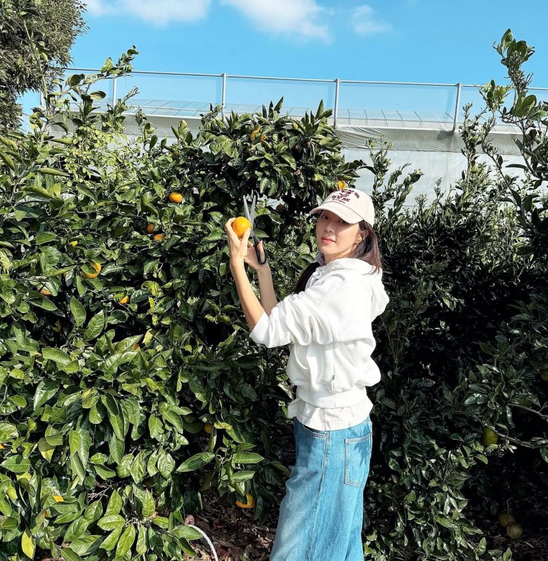 박한별 제주에서 여유 만끽…귤 따기에 열중