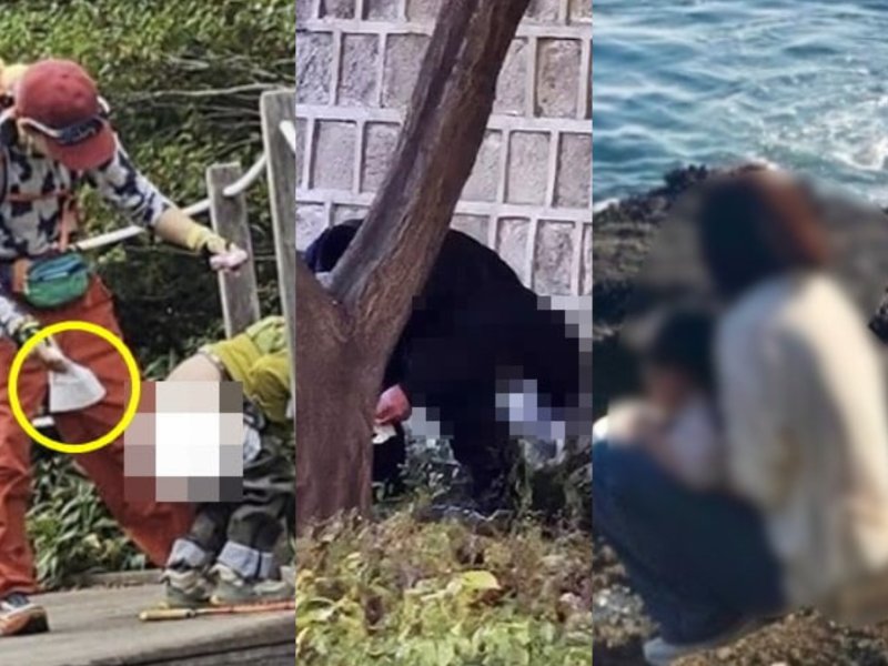 왼쪽부터 한라산 신고 게시물, 경복궁 현장 사진, 용머리해안 목격 사진 순이다. 2025.11.24, (사진=소셜미디어 및 목격자 게시글 캡처) *재판매 및 DB 금지