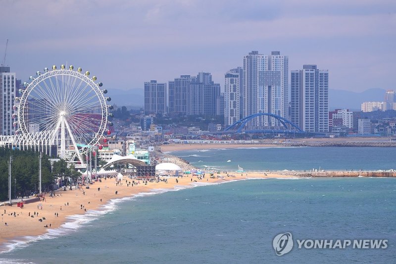 속초는 축제 중 (출처=연합뉴스)