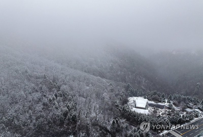 눈 내리는 강원 산지 (출처=연합뉴스)