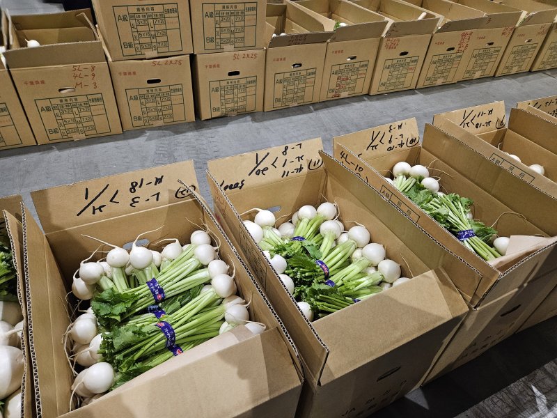 [도쿄=뉴시스] 26일 오전 6시30분께 일본 도쿄도 도요스시장 청과동 모습. (사진=임소현 기자) *재판매 및 DB 금지