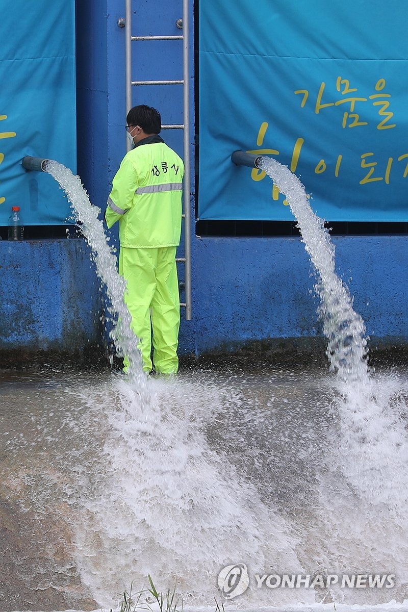 숨통 트인 강릉 (출처=연합뉴스)