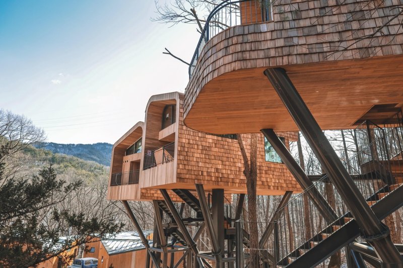 수락휴 내에 있는 트리하우스 (출처=연합뉴스)