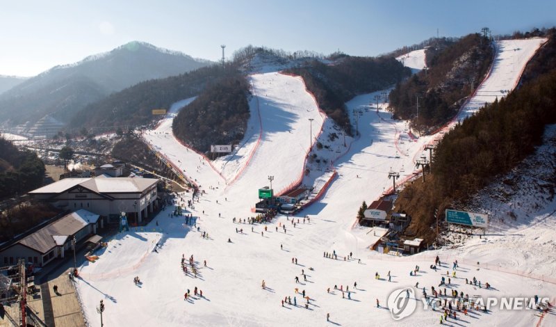 엘리시안 강촌 스키장 (출처=연합뉴스)