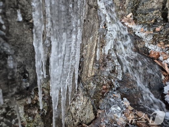 강원 대부분 지역에 한파특보가 발효 중인 3일 오전 아침 최저기온이 -13.2도까지 떨어진 대관령 구 도로변에 고드름이 길게 달려있다. ⓒ News1 윤왕근 기자