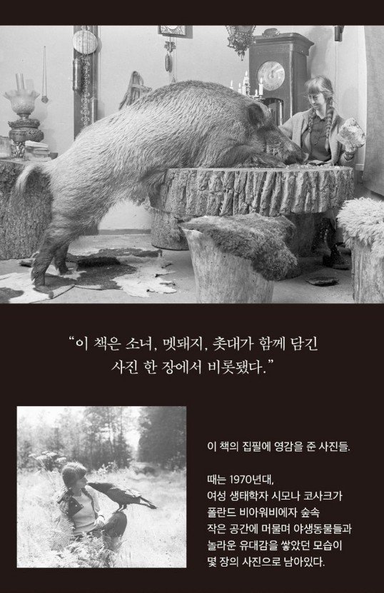 야생의 존재 (가지 제공)