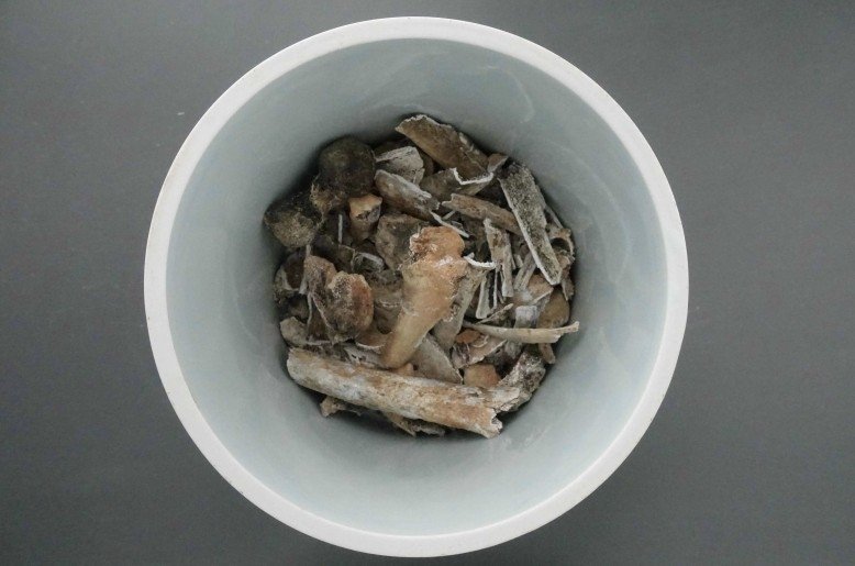 지난 2000년 5월 경주시 안강읍 노당리 어래산 일대에서 발굴한 국군 수도사단 소속 고(故) 이지건 일병의 유해. 국방부 제공