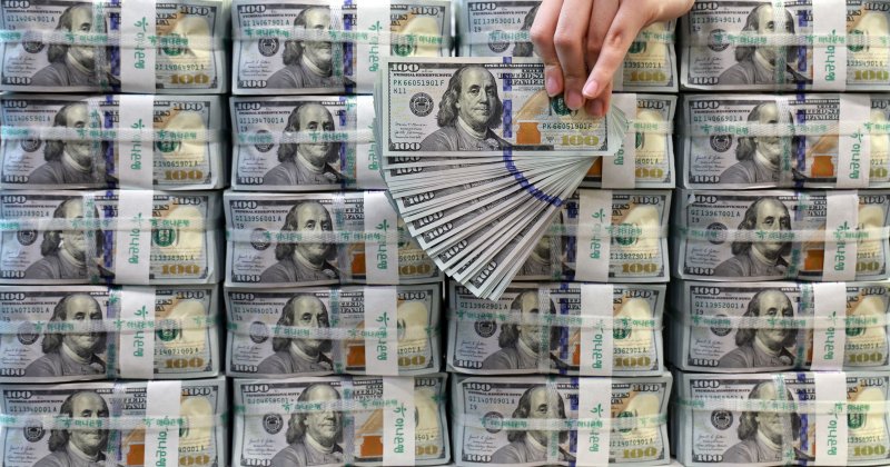 서울 중구 하나은행 위변조대응센터에서 직원이 달러화를 정리하고 있다. 사진=연합뉴스