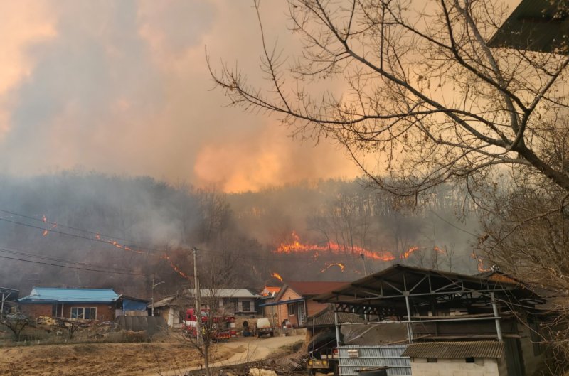 [안동=뉴시스] 사진은 지난 3월 24일 경북 의성군 안평에서 발생한 산불이 안동시 길안면 백자리 한 야산으로 번지고 있는 모습. (사진=독자 제공) 2025.03.24. photo@newsis.com *재판매 및 DB 금지