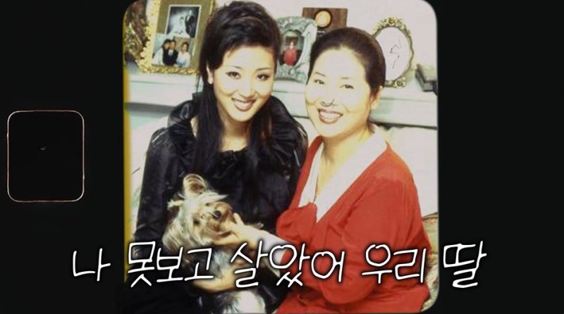 선우용여, 딸 최연제 희생에 울컥 "200억 땅 재판비 내줘"