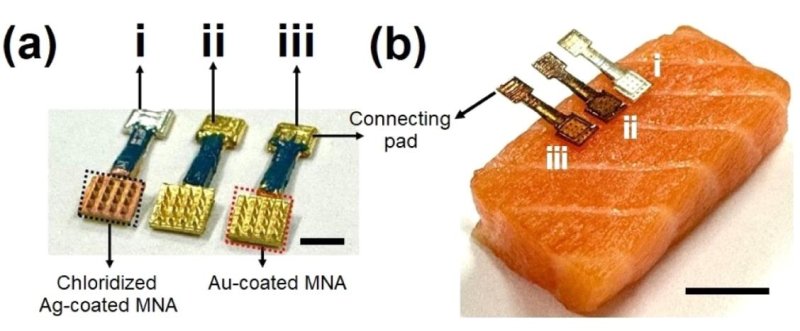 미세바늘 기반 바이오센서와 생선 시료 HX 농득 측정 (출처=연합뉴스)