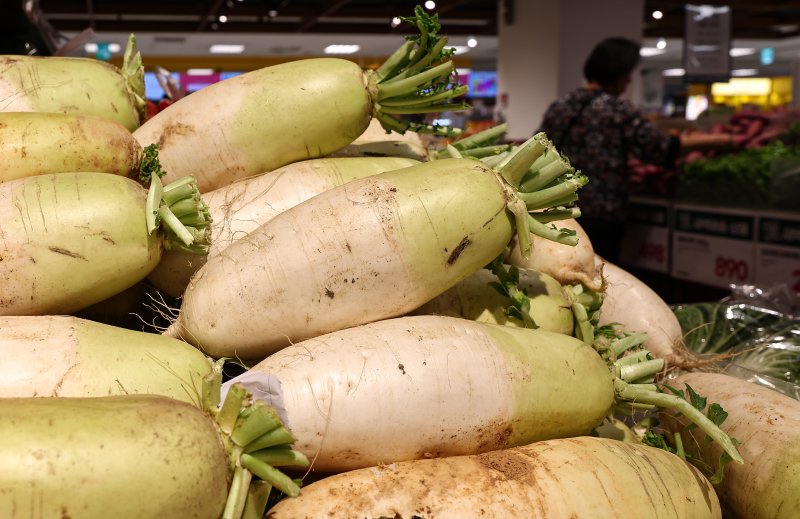 서울 시내 한 대형마트에 진열된 무. /뉴스1 ⓒ News1 김도우 기자