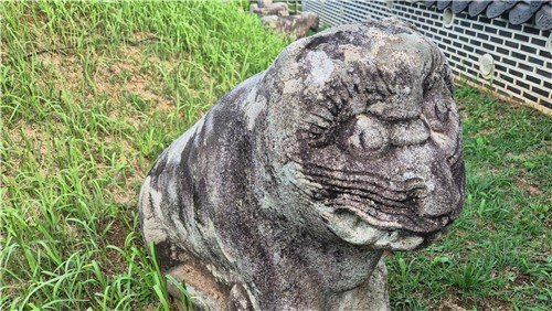 [세상풍경] 호랑이를 사랑하는 사람들 (출처=연합뉴스)