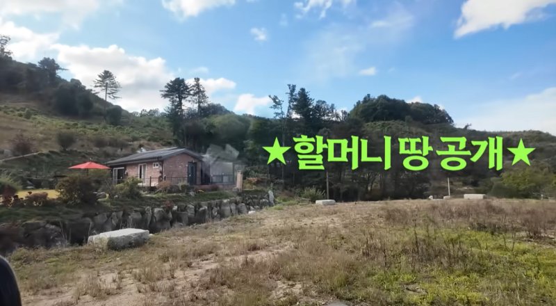 김영옥, 800평 가평 땅 부자였네 "동생과 구매…일급지"