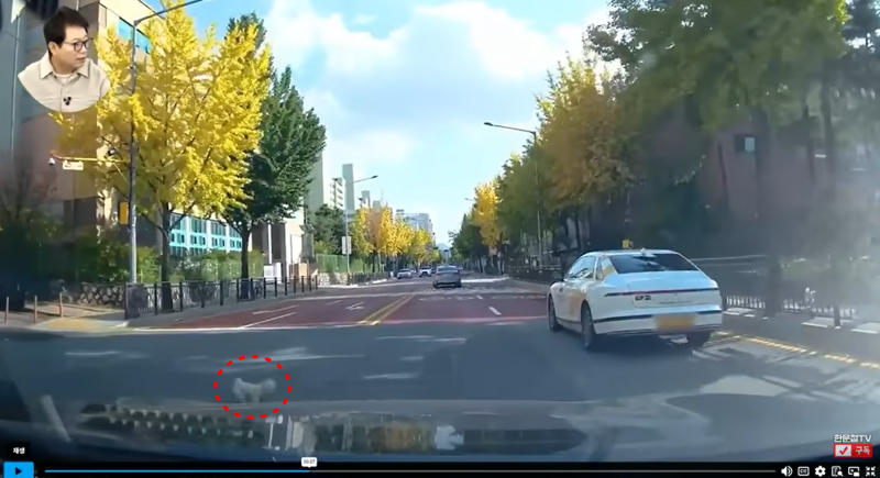 /사진=유튜브 '한문철TV' 캡처