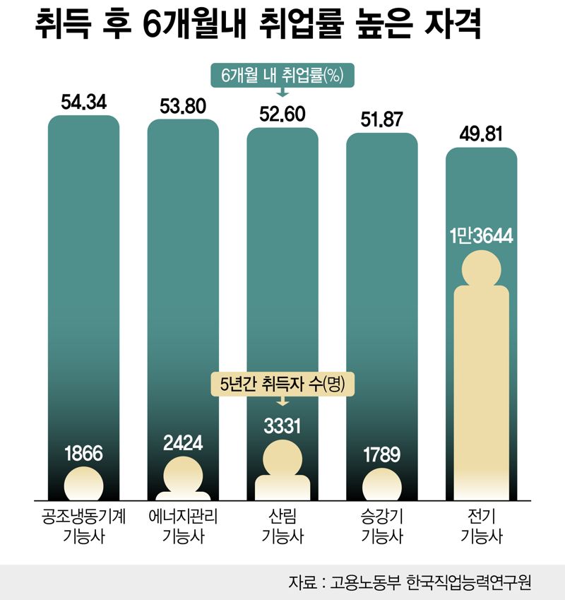 취득 후 6개월내 취업률 높은 자격 /그래픽=정기현 기자