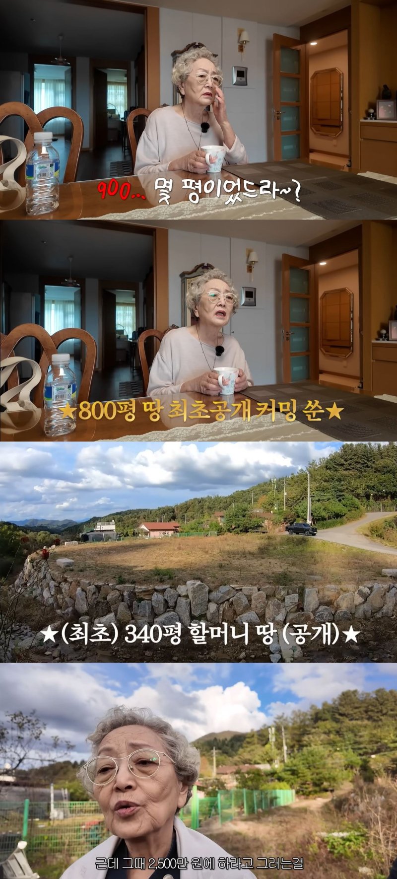 김영옥 가평 800평 땅 공개 "원래는 900평…땅 장사 안 해"