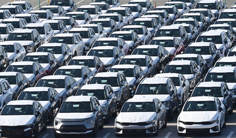 [평택=뉴시스] 김종택기자 = 경기 평택항 자동차전용부두에 수출용 차량이 세워져 있는 모습. 2025.12.01. jtk@newsis.com