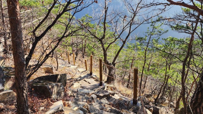 최근 조성된 강원 동해시 무릉계곡 피마름골 숲길.(동해시 제공, 재판매 및 DB 금지) 2025.12.4/뉴스1