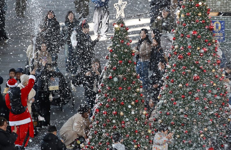 크리스마스 트리 자료사진 ⓒ News1 윤일지 기자